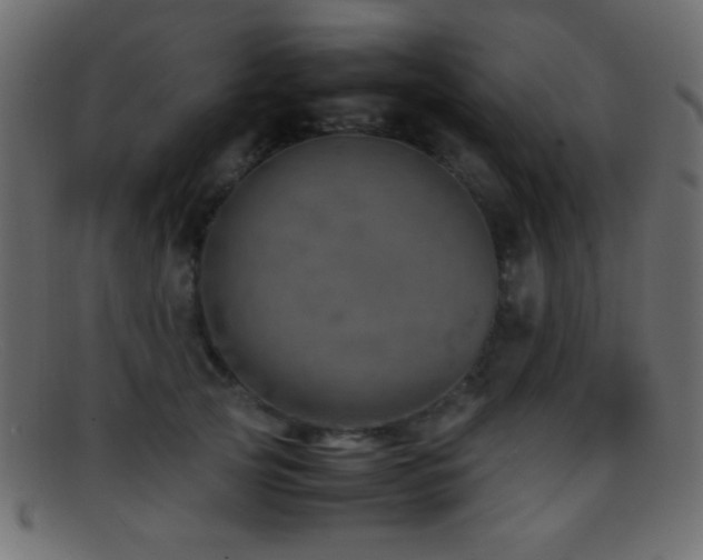 X0000095690753200801081248