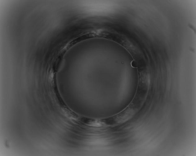 X0000095690754200801081248