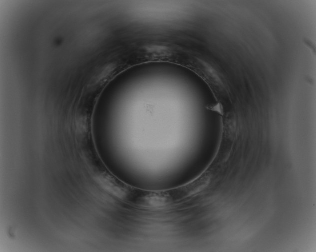 X0000095690756200801081248