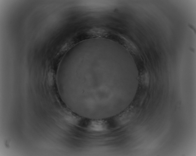 X0000095690757200801081248