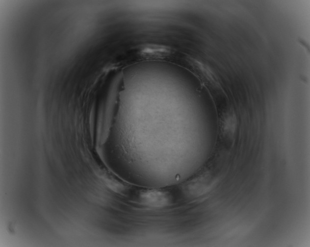 X0000095690759200801081248