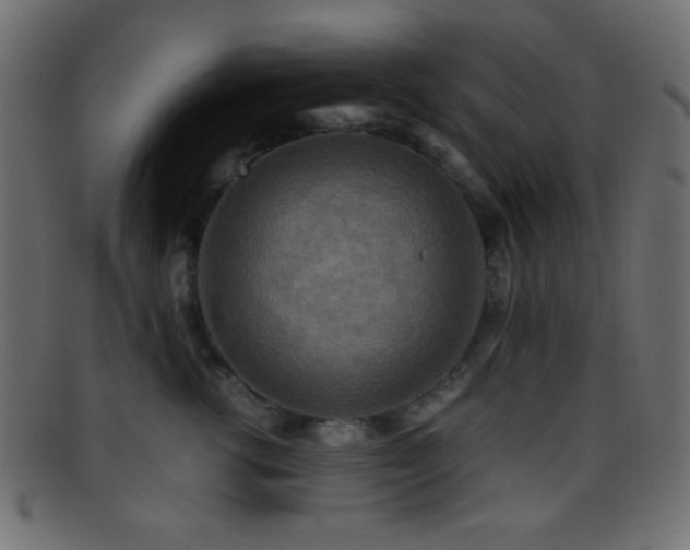 X0000095690762200801081248