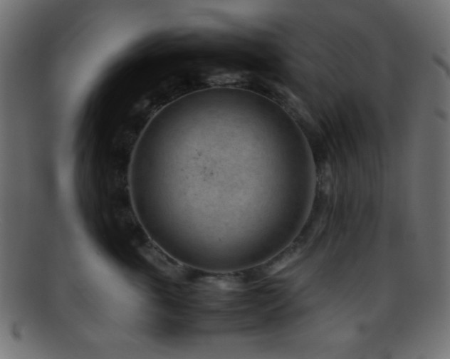 X0000095690763200801081248