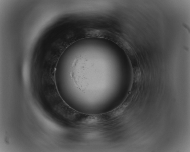 X0000095690764200801081248