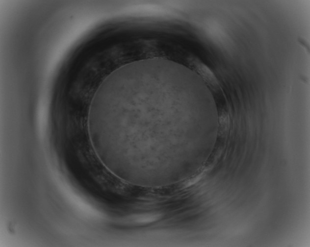 X0000095690765200801081248