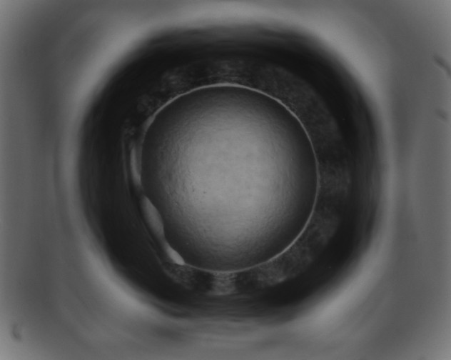 X0000095690766200801081248