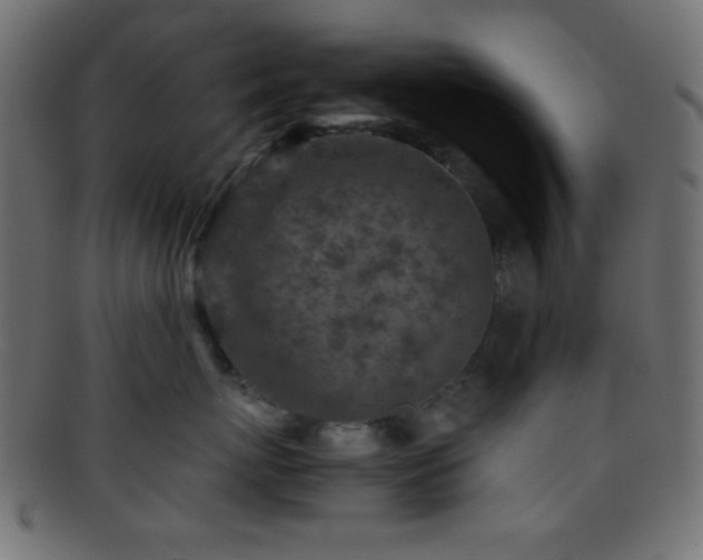 X0000095690767200801081248