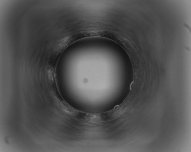 X0000095690768200801081248