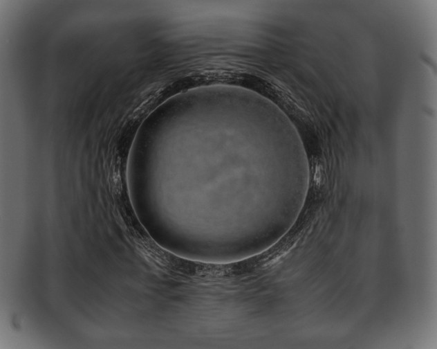X0000095690771200801081247