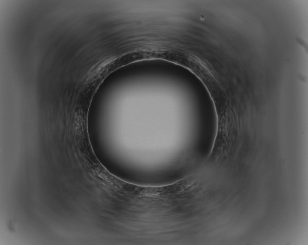 X0000095690773200801081247