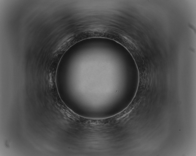 X0000095690774200801081247