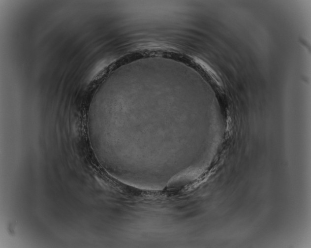 X0000095690775200801081247