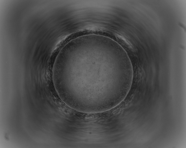 X0000095690776200801081247