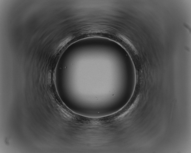 X0000095690777200801081247