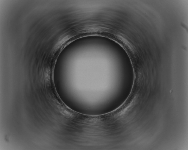 X0000095690778200801081247