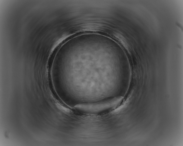X0000095690779200801081247