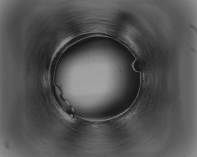 X0000095690780200801081247