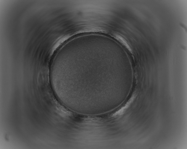 X0000095690781200801081247