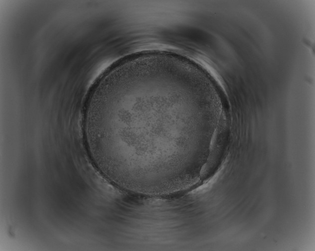 X0000095690783200801081247