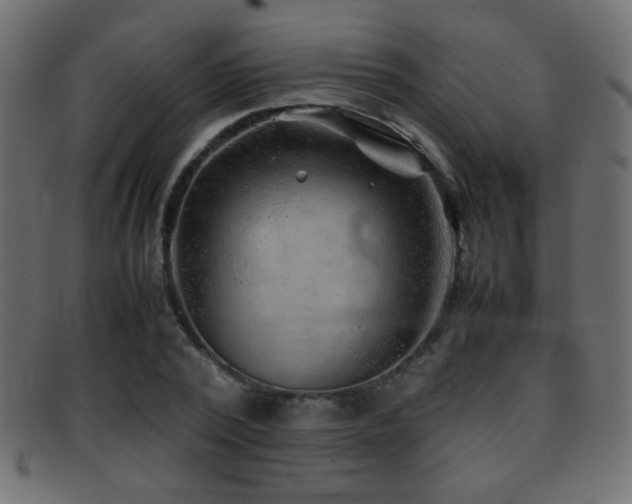 X0000095690784200801081247