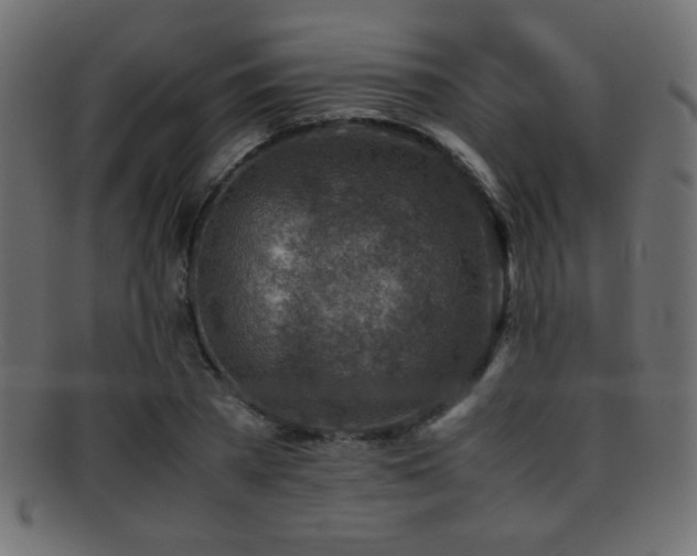 X0000095690785200801081247