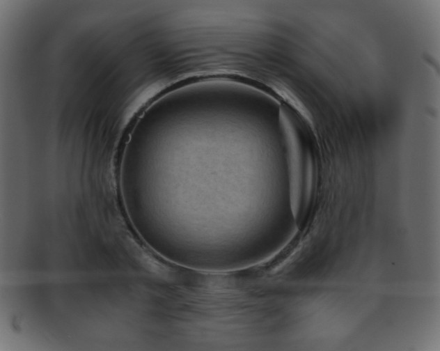 X0000095690789200801081247
