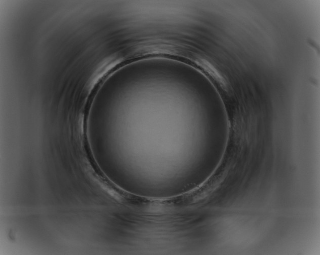 X0000095690790200801081247