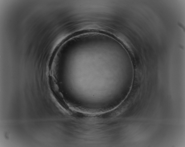 X0000095690791200801081247