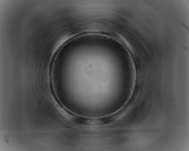 X0000095690795200801081247