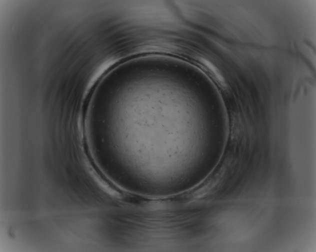 X0000095690796200801081247
