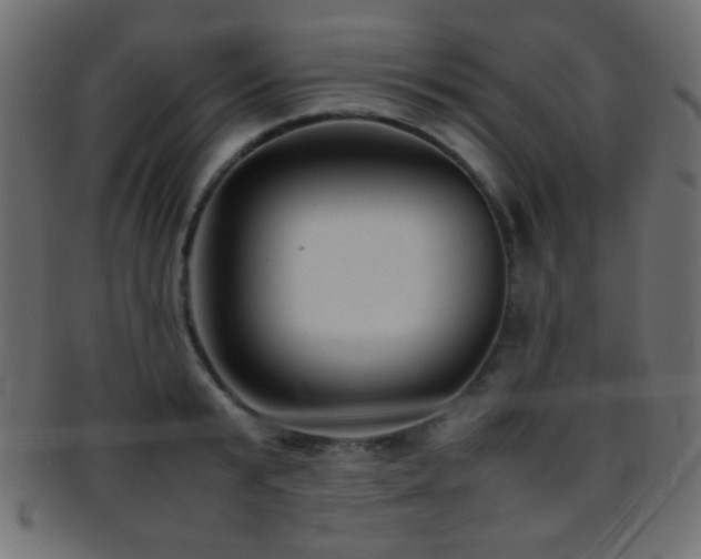 X0000095690799200801081247