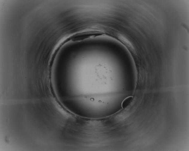 X0000095690800200801081247