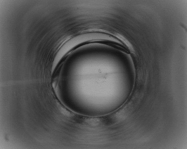 X0000095690801200801081247