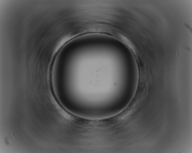 X0000095690803200801081247