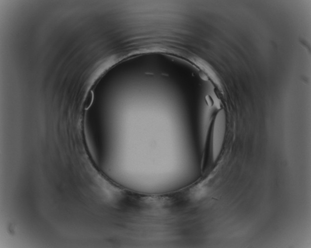 X0000095690805200801081247