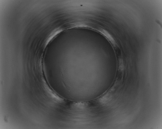 X0000095690806200801081247