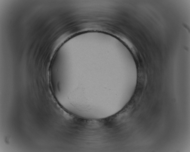 X0000095690807200801081247