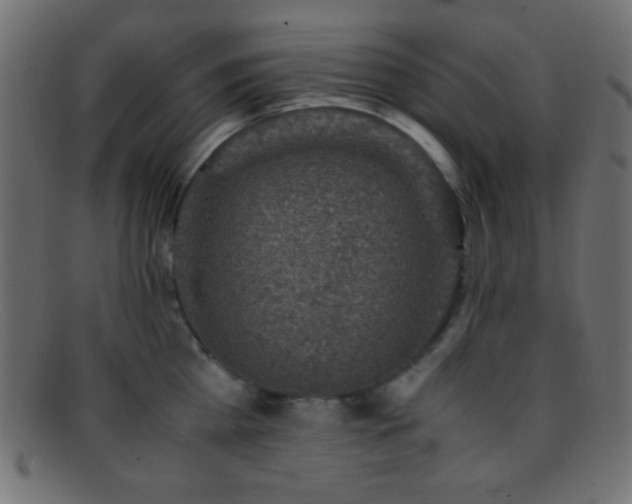 X0000095690809200801081247
