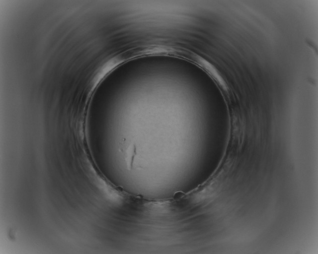 X0000095690810200801081247