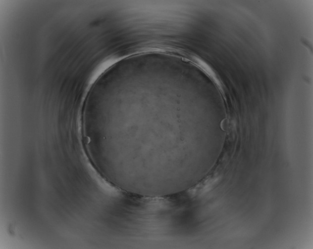 X0000095690811200801081247