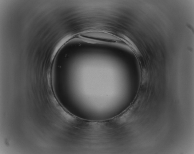 X0000095690812200801081247