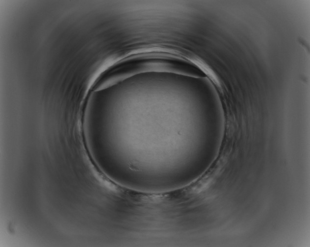 X0000095690813200801081247