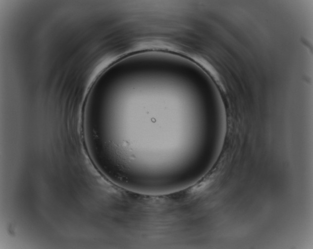 X0000095690815200801081247