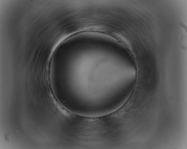 X0000095690816200801081247