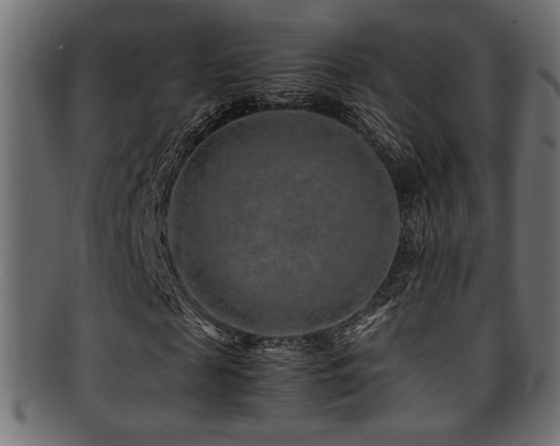 X0000095690817200801081246