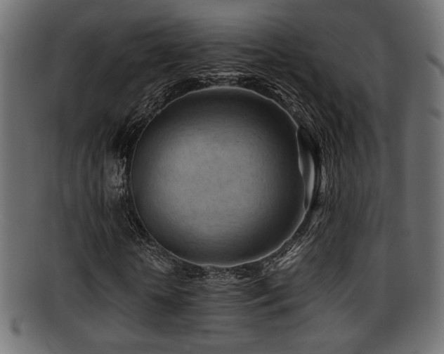 X0000095690818200801081246