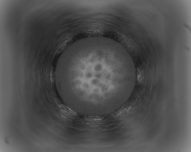 X0000095690819200801081246