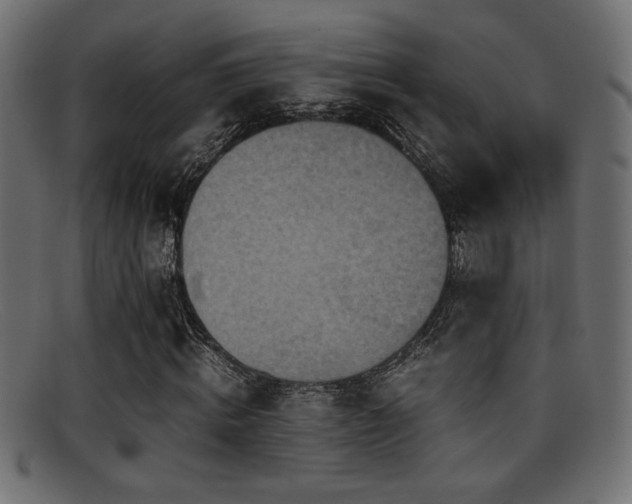 X0000095690820200801081246
