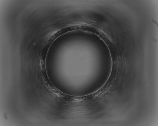 X0000095690822200801081246