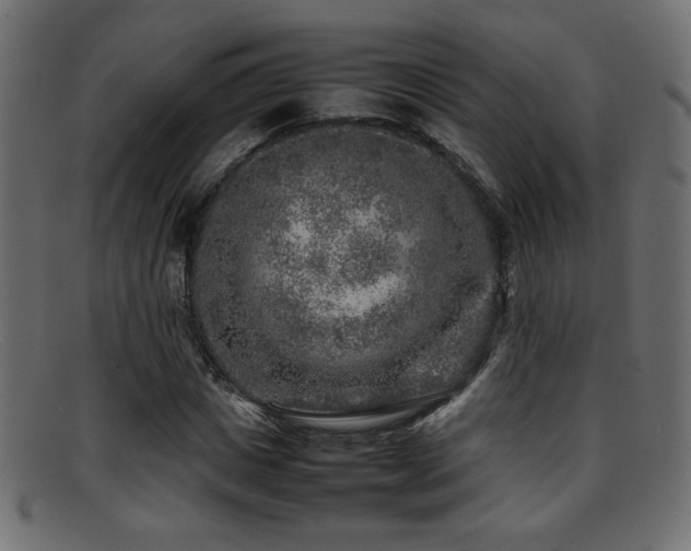 X0000095690825200801081246